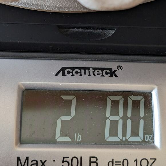 Art Pottery Pie Plate Pan Studio Hand Thrown Scalloped edge signed 11" Kitchen - Picture 10 of 10